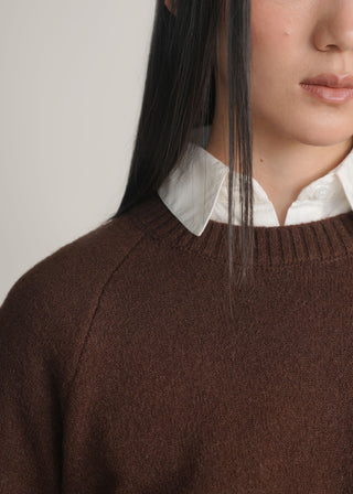 Regular Fit Knit Sweater