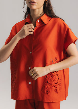 Schiffli Button Down Shirt- WS26-89