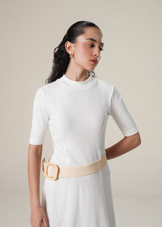 Turtle neck Ribbed Dress