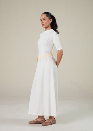 Turtle neck Ribbed Dress