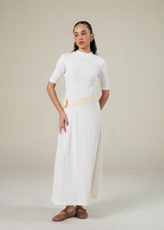 Turtle neck Ribbed Dress