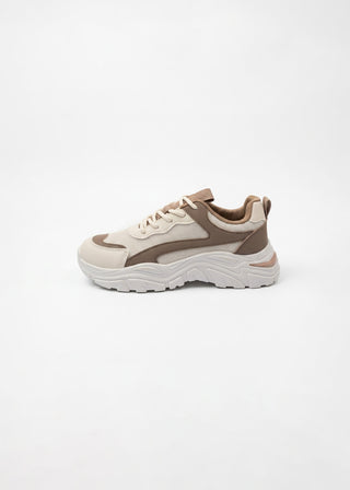 Contrast trainer- GS ROENARI-R25SS05418