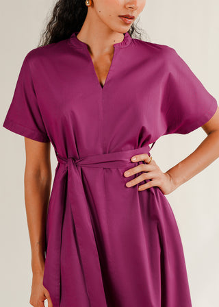Belted V-Neck Dress