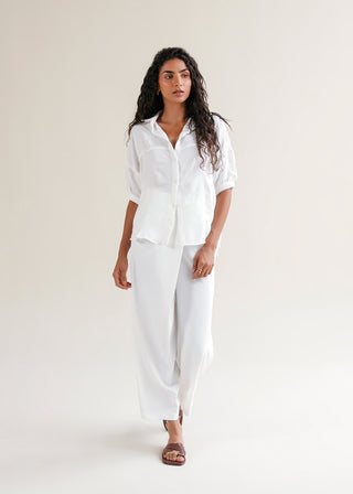 Button Down Shirt