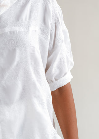 Button Down Shirt